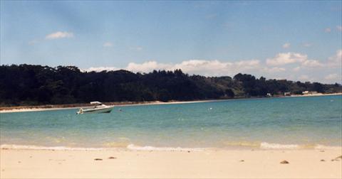 Beach in Rangipute