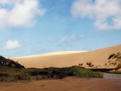 Dunes