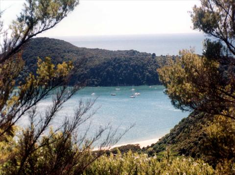 Bay with boats