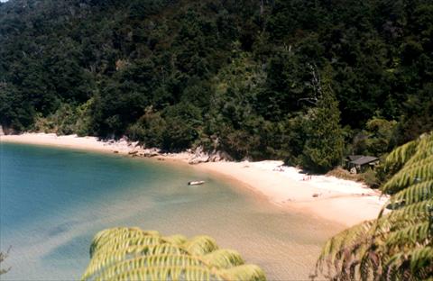 Beach from above