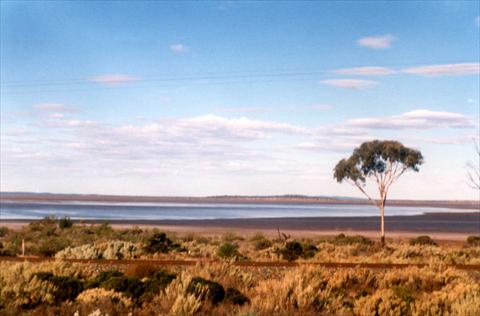 Railways along the salt lake