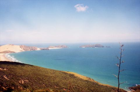 Cape Reinga