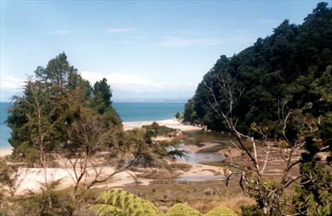 Streams and beach