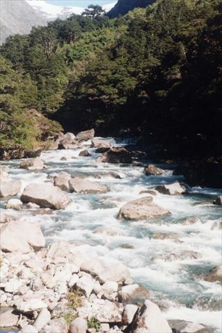 River and stones