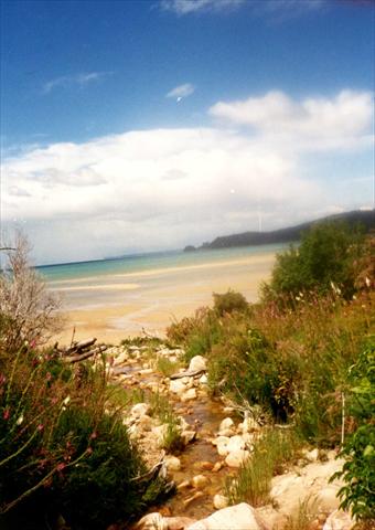 Stream at the beach