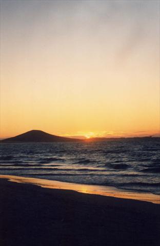 Sunset at the beach