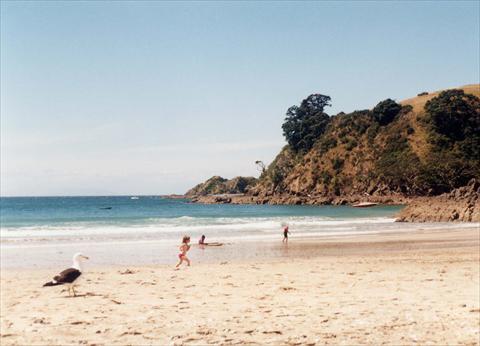 Kids playing at the beach