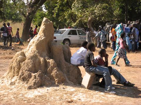 Kids on a termite hill