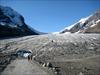 The Columbia Icefields