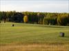 The farm at different times